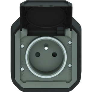 plexo 2p+t f/b anth saillie