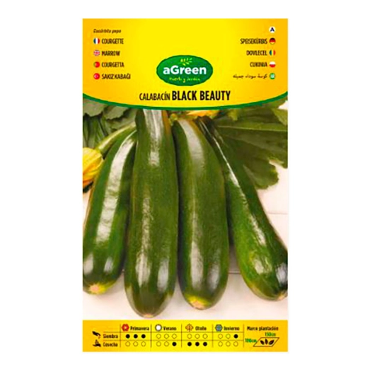 10 Sachet De Graines De Courgette Black Beauty Agreen