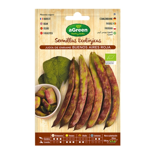 Sachet De Graines Eco Haricots Buenos Aires Red Agreen