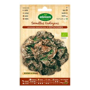 10 Sachet De Laitue Eco Seeds Four Seasons Agreen