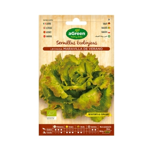 10 Envelope Of Eco Seeds Salad Maravilla Agreen
