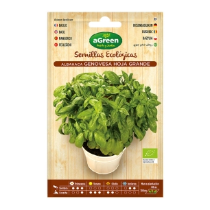 Sachet De Graines Eco Basilic Genovesa Agreen