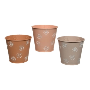 3 Pot De Fleur Individuel Ø11x10.6cm