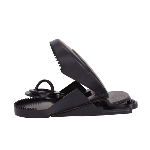 6 Piege A Souris 7x15cm