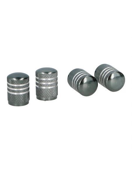 Set De 4 Bouchons De Valve De Pneu Gris