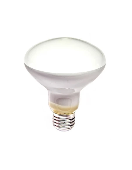 Ampoule Incandescente Réfléchissante R90 E-27 60w