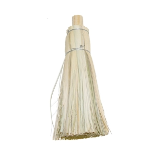 Remplacement Brosse Palme 10x20cm Imex El Zorro
