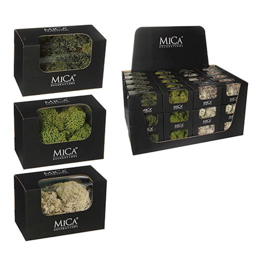 Assortiment De Plantes De Mousse Artificielle. Crème, Vert. 50gr.