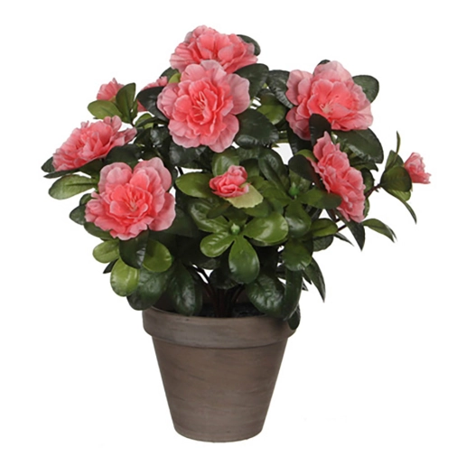 Azalea Pêche Artificielle En Pot Gris Ø11,5cmx27xø20cm