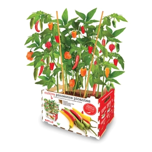 Coffret Batlle Piments Épicés