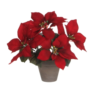 Poinsettia Rouge Avec Pot Gris 27x35cm