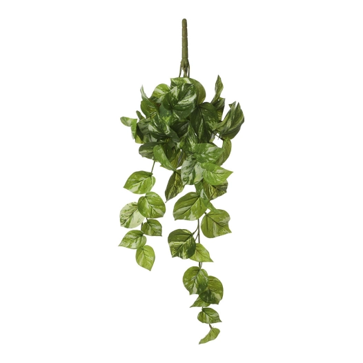 Potos Pendentif Couleur Vert 14x58x20cm