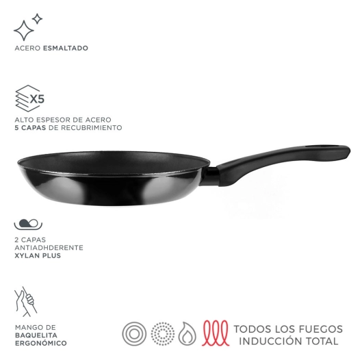 Indutherm Poêle Ø26cm Acier Noir Aisi 430 Fagor