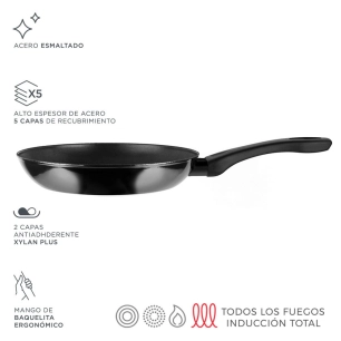 Indutherm Poêle Ø26cm Acier Noir Aisi 430 Fagor