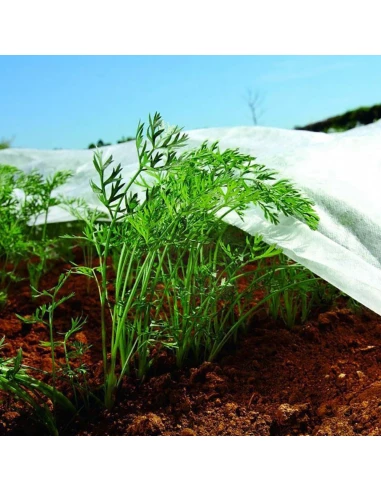 Tissu De Protection Pour Cultures-Coil 2x20m 30gr/M² Biotop Jardin