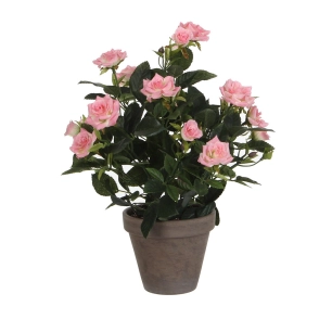 Rosier Rose Pvc Avec Pot Gris 11.5cm 33x25cm