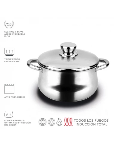 Pot En Acier Inoxydable Silverinox + Couvercle En Acier Inoxydable 18/10 Fagor Ø24x15cm