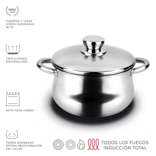 Pot En Acier Inoxydable Silverinox + Couvercle En Acier Inoxydable 18/10 Fagor Ø24x15cm