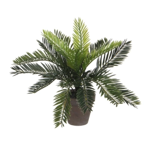 Palmier Sago (CYCA Revoluta) Pvc Avec Pot Gris 33x11.5cm