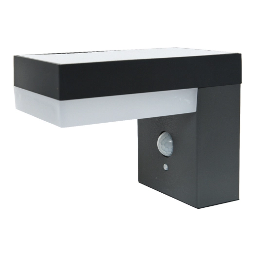 Applique Solaire Avec Detecteur Max 600lm 3200k 10x16.5x13cm Edm
