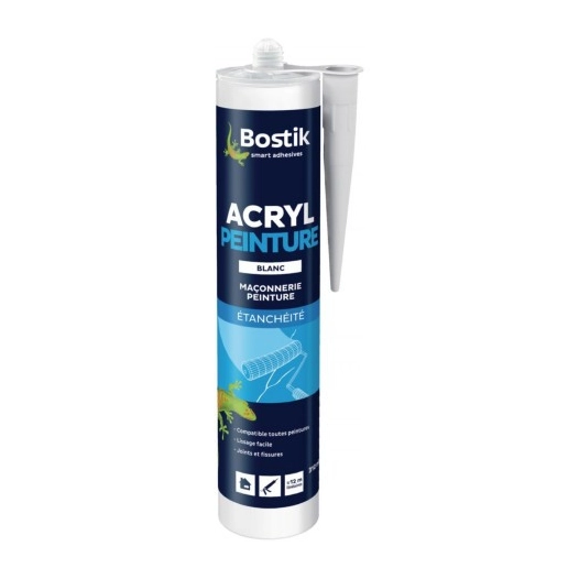 Mastic acrylique d'étanchéité spécial peintures 310ml_blanc - BOSTIK