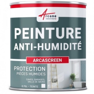 Peinture Anti-humidité 0.75 litre blanc - ARCASREEN