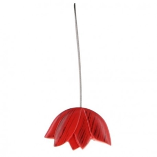 Embrasse ESSENTIEL Tulipe_rouge_noir - ESSENTIEL