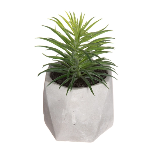 Plante Décorative Avec Pot 7x14cm Assortiements De Modèles