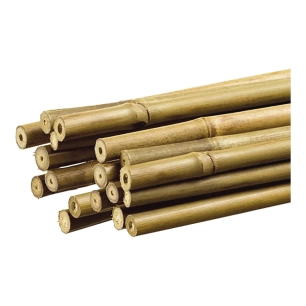 Tuteur Décoratif En Bambou Couleur Naturelle Ø1,1cm X1,80m Nortene