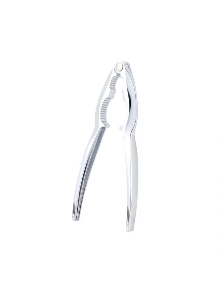 Casse Noisette 15x3.5cm Zinc Expert Sg7332065246 San Ignacio