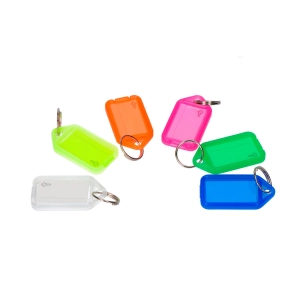 Porte-Clés Identificateur En Plastique Moyen Avec Anneau Et Étiquette. Plusieurs Modèles.