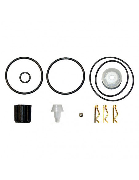 Joints Rechange Dimartino 74145 74150 Kit de joints d'étanchéité pour pulvérisateurs Dimartino - DIMARTINO