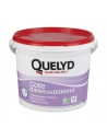 QUELYD Dalles de plafond 4kg - QUELYD
