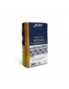 BOSTIK Mortier batard 25kg - BOSTIK