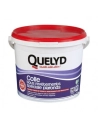 QUELY Colle spécial plafonds 6kg - QUELYD