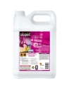 Solvapeint 5 litres - ONYX
