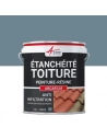 ARCAFILM Toiture_2_5l_ardoise - ARCANE