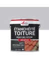 ARCAFILM Toiture_2_5l_gris - ARCANE