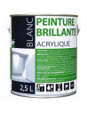 Peinture Acrylique brillant 0.5 litre blanc - BATIR