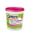 Colle tout papier peint premium 1kg rose en pâte - QUELYD