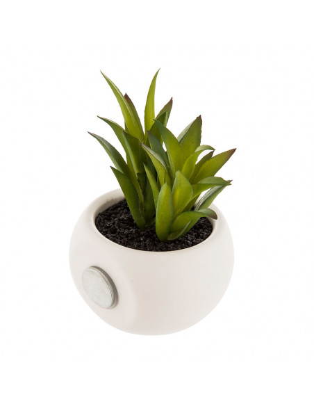 Mini Plante Déco ATMOSPHERA Touche de verdure instantanée - ATMOSPHERA CRÉATEUR D'INTÉRIEUR