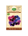 10 Sachet De Graines Pansy Géant D'accord