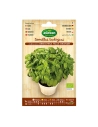 Sachet De Graines Eco Basilic Genovesa Agreen