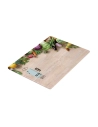 Balance De Cuisine Modèle 2 Edm, Max 5 Kgs