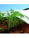 Tissu De Protection Pour Cultures-Coil 2x20m 17gr/M² Biotop Jardin