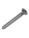 5 Boîte M 10 Unités. Vis Filetage Tole Zinc Cp 4.8x32mm Fadix