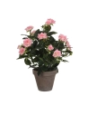 Rosier Rose Pvc Avec Pot Gris 11.5cm 33x25cm