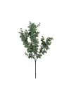 Couleur Vert Eucalyptus 65 Cm