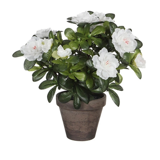 Azalée Artificielle Blanche En Gris Tiesto Ø11,5cmx27xø20cm