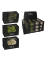 Assortiment De Plantes De Mousse Artificielle. Crème, Vert. 50gr.